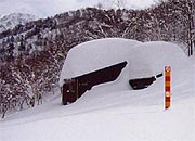 冬山前進基地の写真