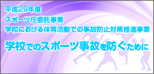 平成29年度スポーツ庁委託事業学校でのスポーツ事故を防ぐために