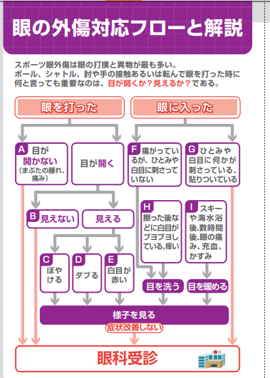眼の外傷対応フロー 眼を打った ⇒ 目が開かない(まぶたの腫れ、痛み)⇒ 眼科受診 ⇒ 目が開く ⇒ 見えない ⇒ 眼科受診 ⇒ 見える ⇒ ぼやける ⇒ ⇒ ダブる ⇒ ⇒ 白目が赤い ⇒ ぼやける、ダブる、白目が赤い ⇒ 様子を見る(症状改善しない)⇒ 眼科受診 眼に入った ⇒ ひとみや白目に何かが刺さっている、貼りついている ⇒ 眼科受診 ⇒ 痛がっているが、ひとみや白目に刺さっていない ⇒ 眼を洗う ⇒ 様子を見る(症状改善しない) ⇒ 眼科受診 ⇒ 擦った後などに白目がブヨブヨしている、痒い ⇒ 眼を洗う ⇒ 様子を見る(症状改善しない)⇒ 眼科受診 ⇒ スキーや海水浴後、数時間後,眼の痛み、充血、かすみ ⇒ 眼を暖める ⇒ 様子を見る(症状改善しない) ⇒ 眼科受診