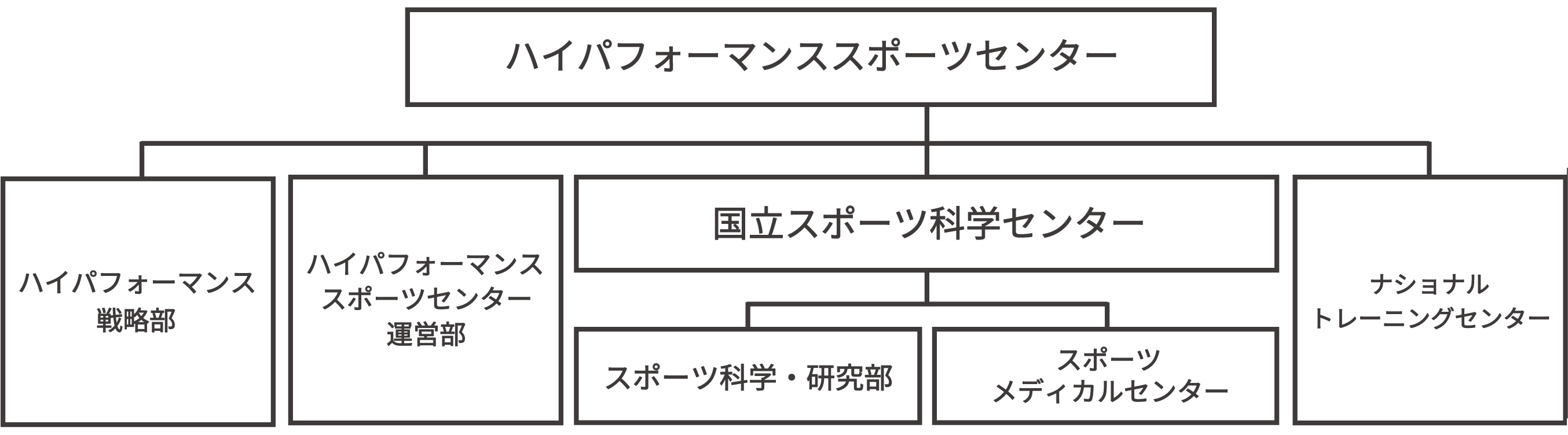 組織紹介 ハイパフォーマンススポーツセンター