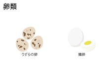 卵類　うずらの卵、鶏卵など