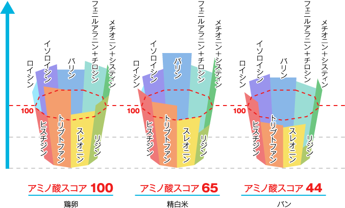 アミノ酸スコアの比較図。鶏卵のアミノ酸スコアは100、精白米のアミノ酸スコアは65、パンのアミノ酸スコアは44