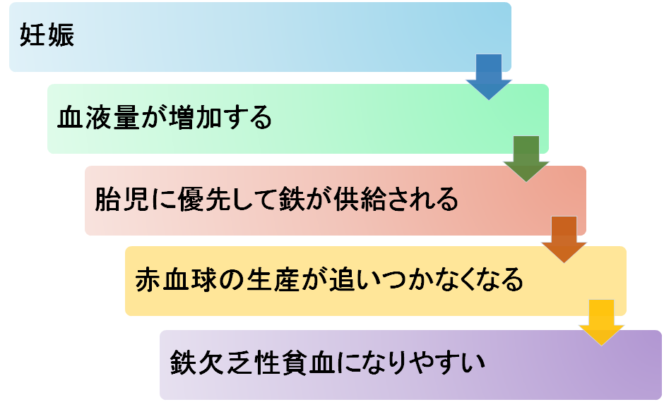 妊娠 中期 疲れ やすい