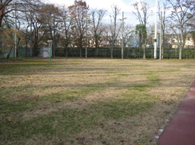 東久留米総合高校の芝：冬場の状況