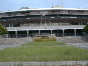 明治公園から見た国立競技場