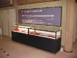 遺跡&スポーツミュージアム特別展