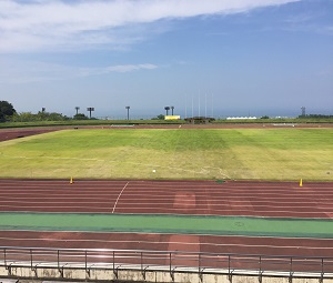 桃山陸上競技場天然芝の様子